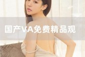 va国产