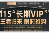 国产vip